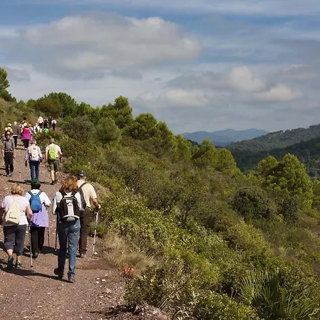 Al4-2005-06 - - Alcazaba Lagoon Apartment Estepona